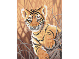 B�b� Tigre