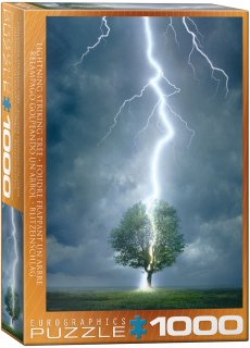 Eurographics - Lightning Striking Tree