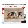 Nathan Puzzle - American Staffordshire Terriers - 1000 Pièces
