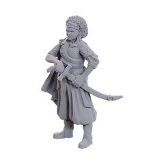 DND Unpainted Minis - Ansalon Human Rogue