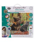 Crystal Art Kit - Cat & Dog in the Woods