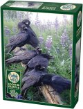 Cobble Hill - Raven Rendezvous