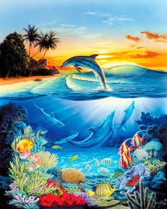 Figured Art - Dauphin Dans le Lagon