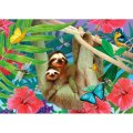 Enjoy - Sweet Sloths 