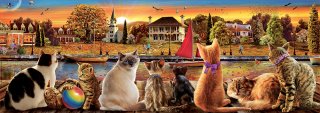 Des Chats sur le Quai