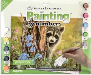 Royal & Langnickel Painting By Number Secret Admirer
