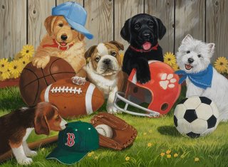Ravensburger - Jouons au Ballon!