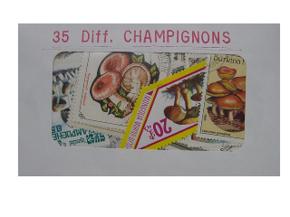 Champignons 35 Diff.