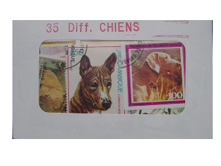 Chiens 35 Diff.