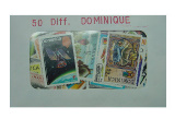 Dominique 50 Diff.