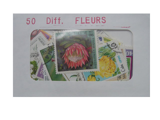 Fleurs 50 Diff.