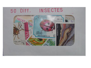 Insectes 50 Diff.