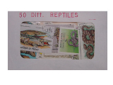 Reptiles 50 Diff.