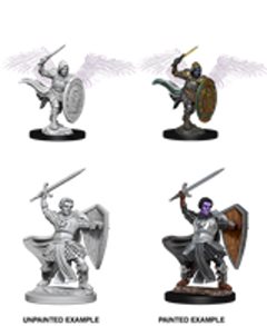 D&D Unpainted Minis: Aasimar Male Paladin
