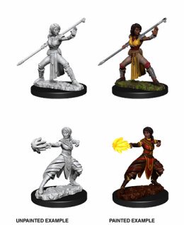 D&D Unpainted Minis: Female Half-Elf Monk