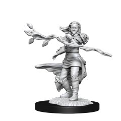 D&D Unpainted Minis Wv14: Human Druid Female