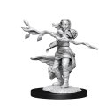 D&D Unpainted Minis Wv14: Human Druid Female