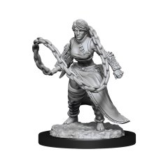 D&D Unpainted Minis Wv14: Human Monk Female
