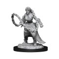 D&D Unpainted Minis Wv14: Human Monk Female