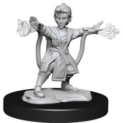 D&D Unpainted Minis Wv14: Gnome Artificer Female