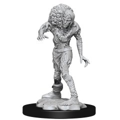 D&D Unpainted Minis Wv14: Drowned Assassin / Asetic