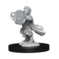 Pathfinder Unpainted Minis Wv14: Halfling Wizard Male
