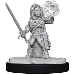 Pathfinder Unpainted Minis Wv14: Halfing Cleric Female