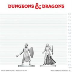D&D Nolzurs Marvelous Miniatures Black Gauntlet & Zhentilar Paladin Of Bane