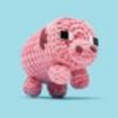 The Woobles X Minecraft - Pig