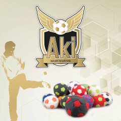 Aki 8 Panneaux de Compétition