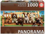 Chiots sur le Banc