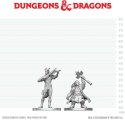D&D Nolzurs Marvelous Miniatures Tiefling Bard & Dwarf Cleric