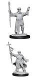 D&D Unpainted Minis Wave 13 - Human Wizard Male