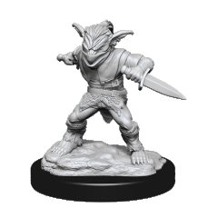 DND UNPAINTED MINIS WV15 MALE ROGUE/FEMALE BARD