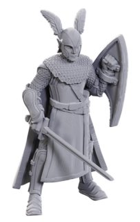 D&D Unpainted Minis Limited Edition 50TH Anniversary Elves